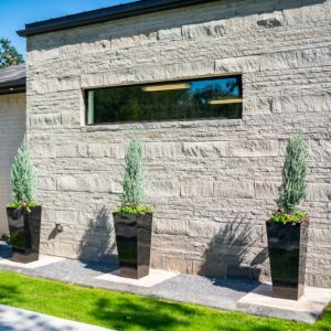 Outdoor landscaping plants