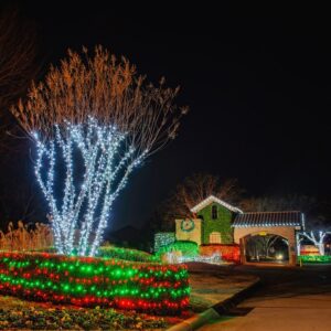 Oklahoma Christmas lights service