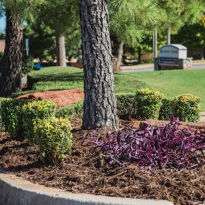 Commercial landscaping service in Oklahoma