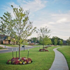 OKC Commercial landscaping