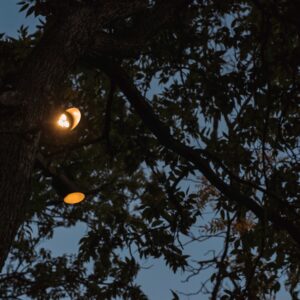 Edmond Oklahoma Outdoor landscape lighting service
