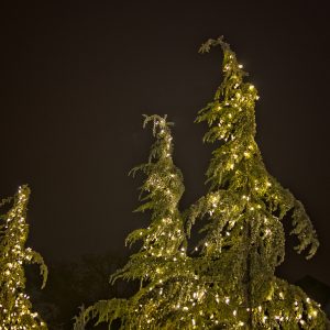 Nelson Landscaping Residential Christmas Light Services in Oklahoma
