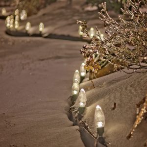 White Christmas lighting Service by Nelson Landscaping