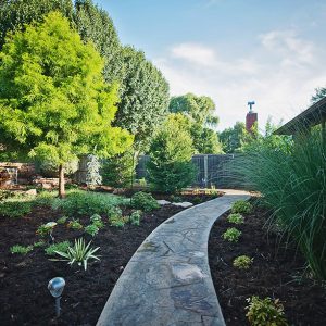 Backyard Walkway & Landscaping
