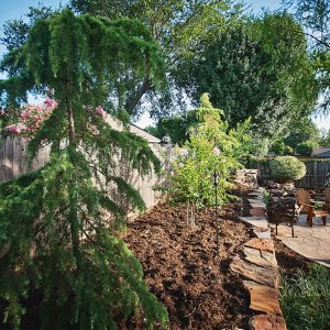 Backyard Tree Landscaping with Walkway