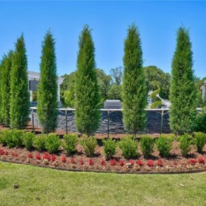Tall and Short Bush Landscaping Design