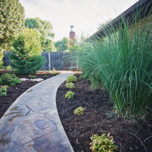 nelson landscaping backyard walkway and plants landscaping