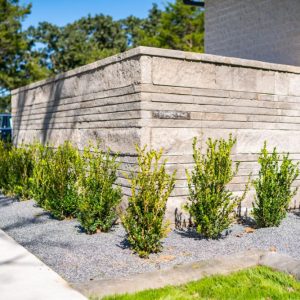 Bush Landscaping with Hardscapingdesigned for the Street of Dreams by Matteson Homes