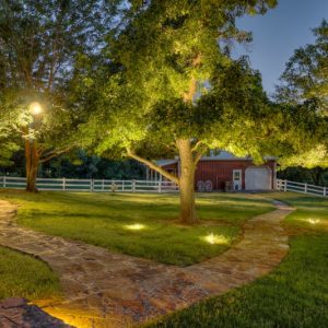 Front Yard Tree Landscaping with Lighting